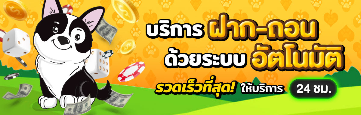 doggy45-banner1