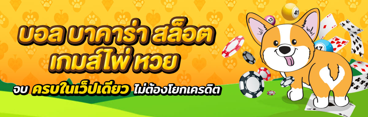 doggy45-banner3